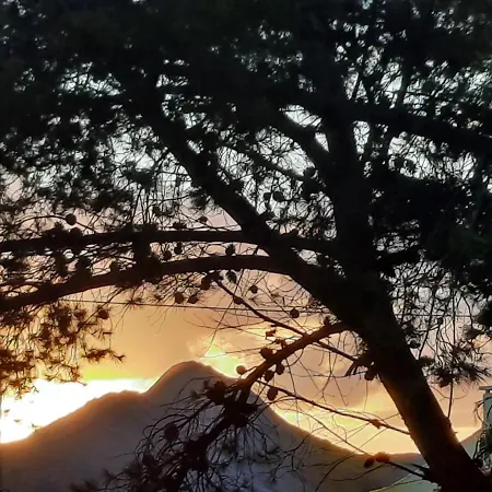 Quintinha Lombas S Porto Santo