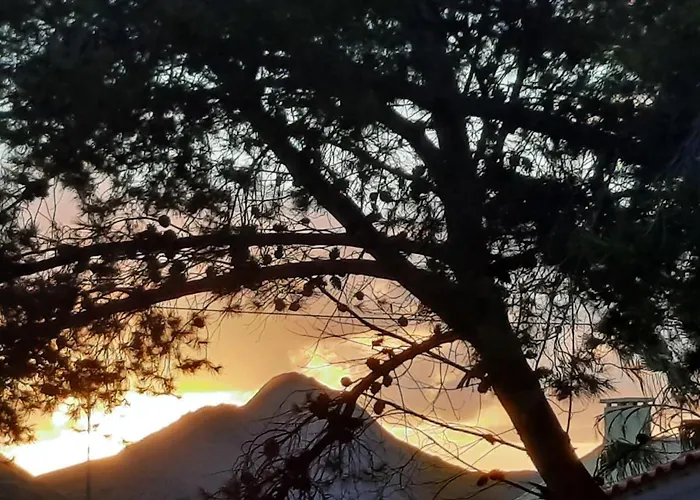 Quintinha Lombas S Porto Santo